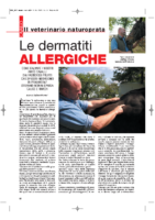 Le-dermatiti-allergiche