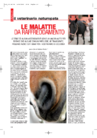 Le-malattie-da-raffreddamento