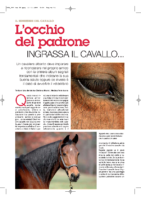 Locchio-del-padrone-ingrassa-il-cavallo