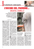 Locchio-del-padrone-salva-il-cavallo