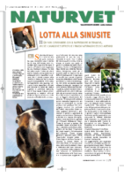 Lotta-alla-sinusite