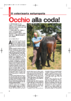 Occhio-alla-coda