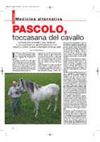 Pascolo-toccasana-del-cavallo