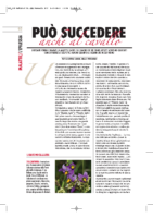 Può-succedere-anche-al-cavallo