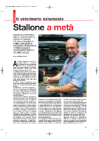 Stallone-a-metà