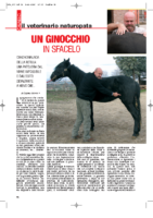 Un-ginocchio-in-sfacelo